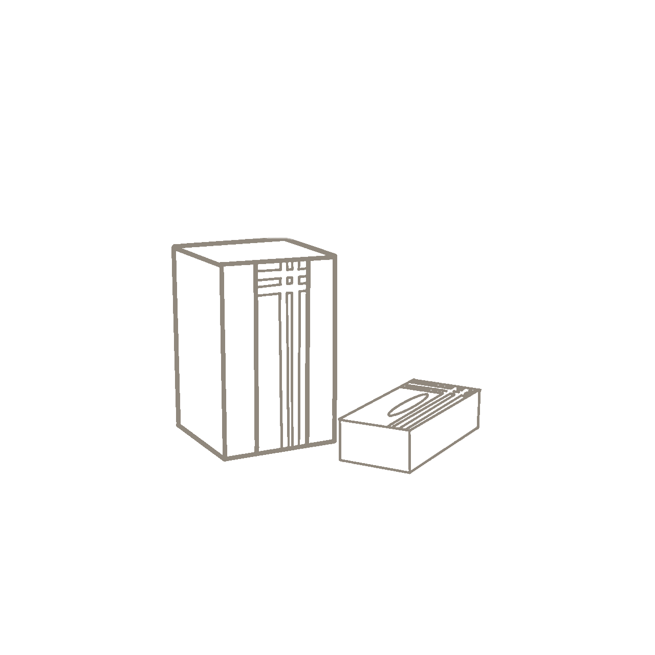 Tissue Boxes & Trash Bins