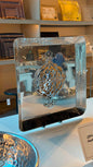 Square Metal Tray With Arbesques Pattern